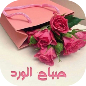 3 رقم مجموعة الصور