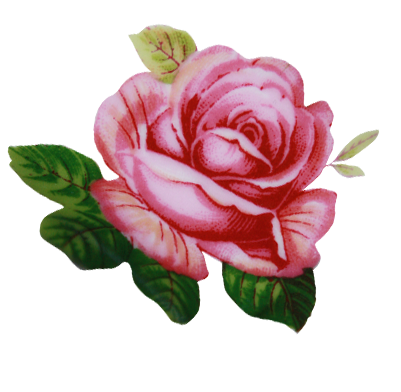 6 رقم مجموعة الصور