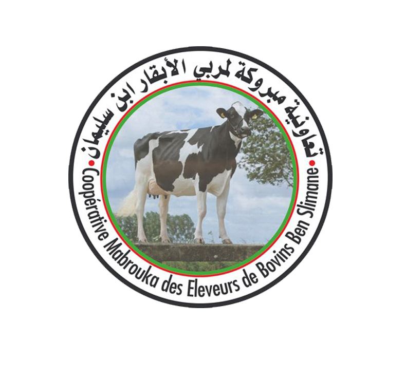 13 رقم مجموعة الصور