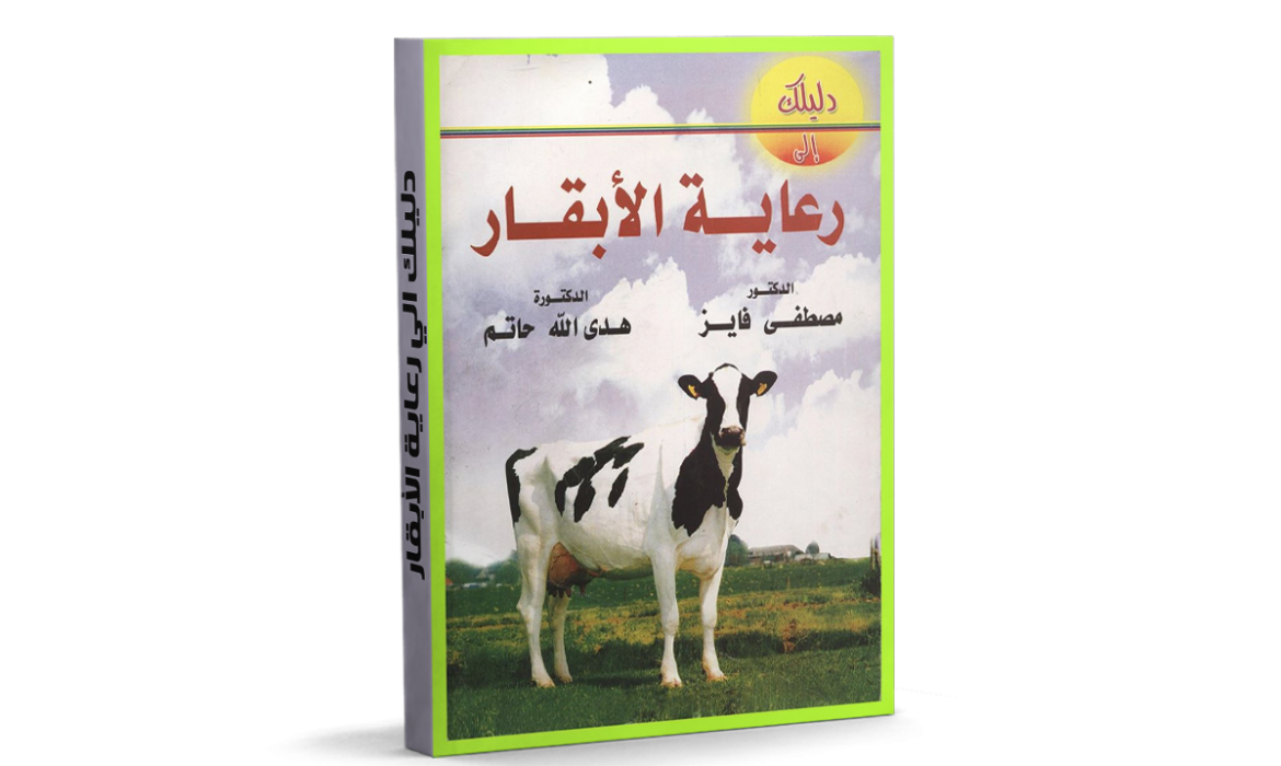 7 رقم مجموعة الصور