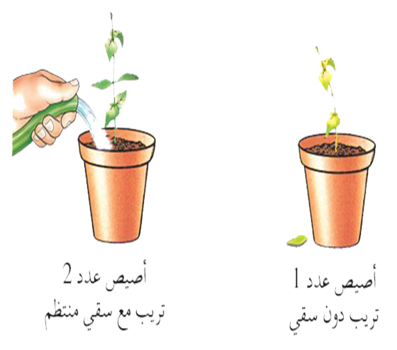 18 رقم مجموعة الصور