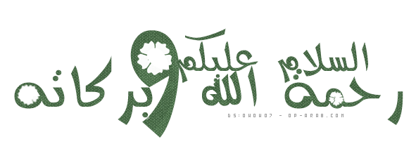 11 رقم مجموعة الصور