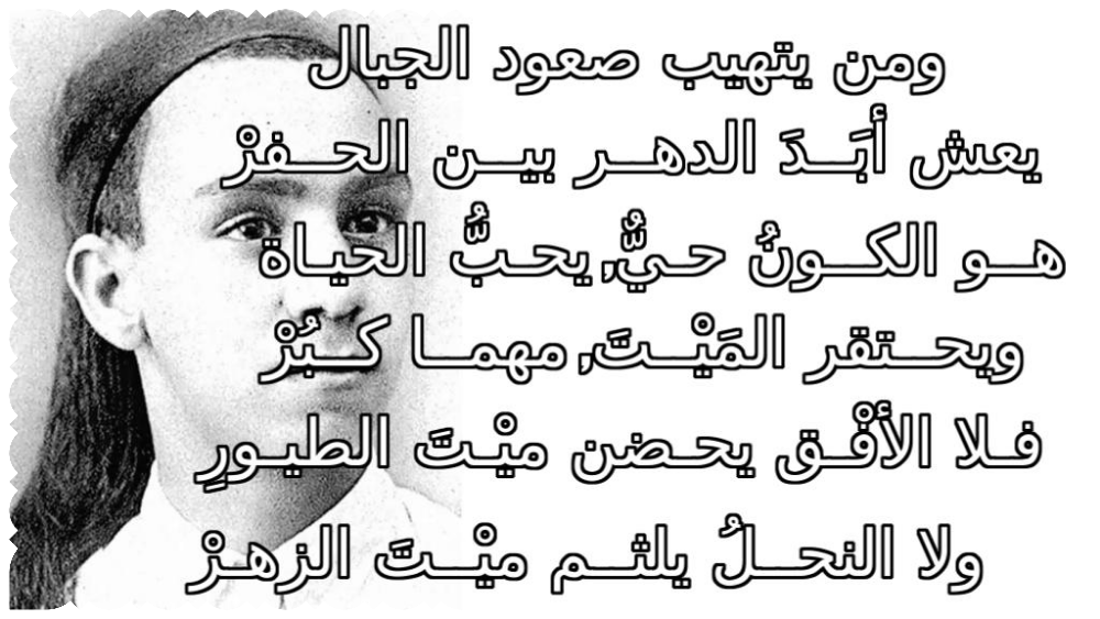 12 رقم مجموعة الصور