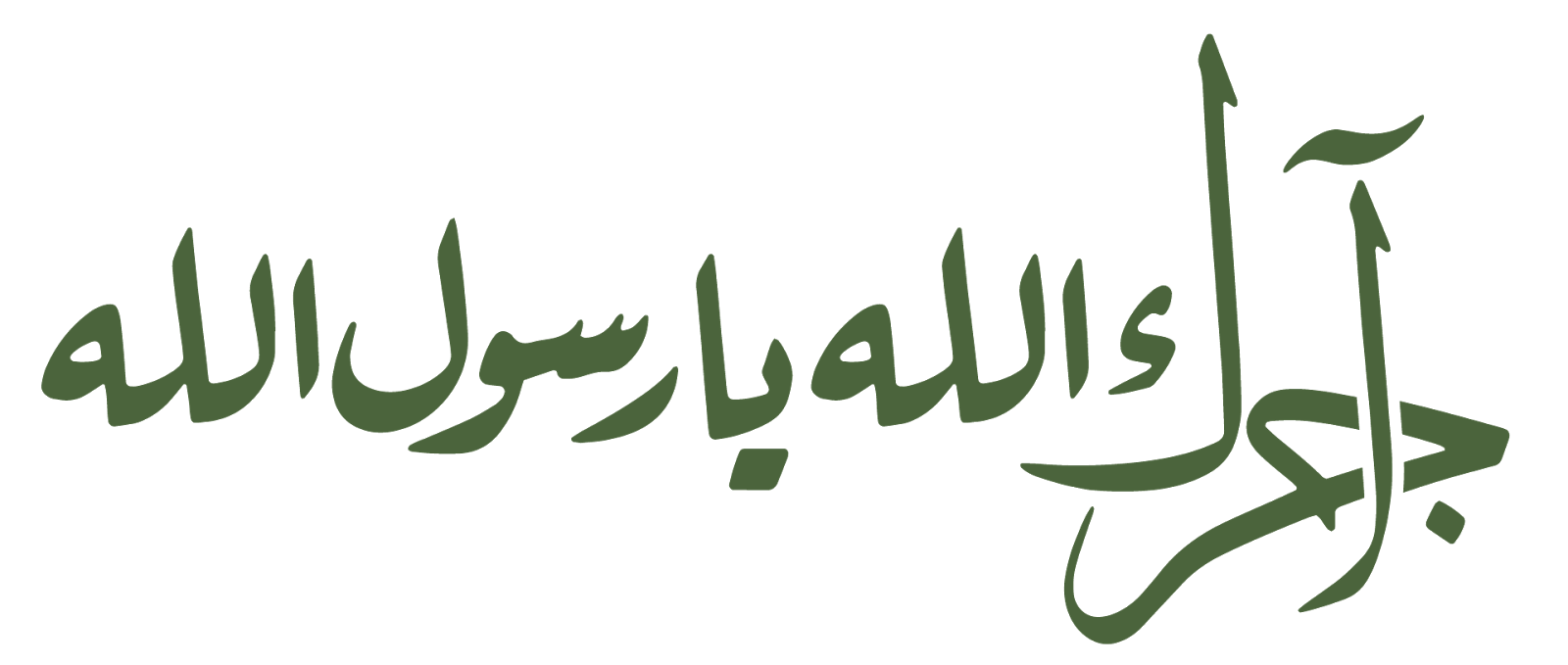 3 رقم مجموعة الصور