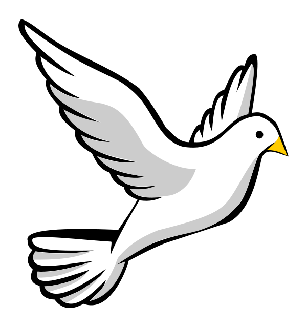 5 رقم مجموعة الصور