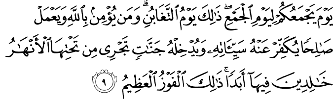 10 رقم مجموعة الصور