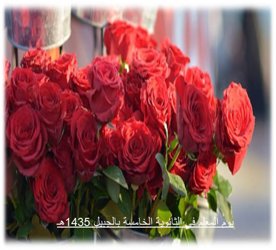 9 رقم مجموعة الصور