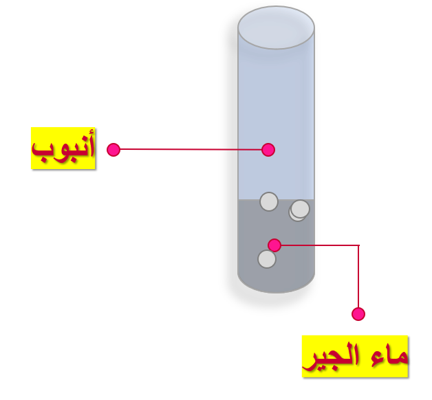 8 رقم مجموعة الصور