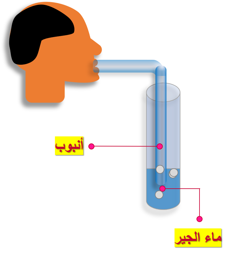 6 رقم مجموعة الصور
