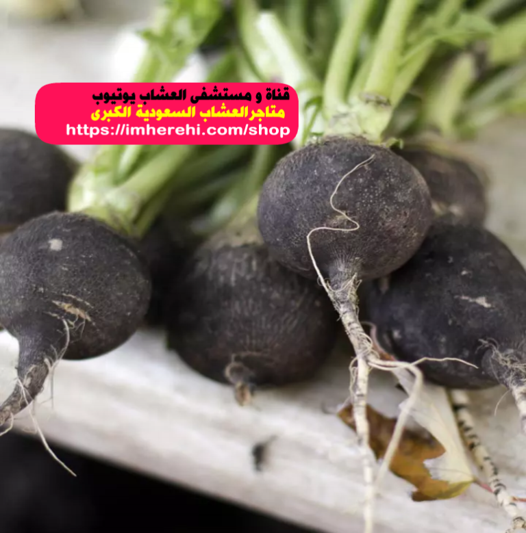 2 رقم مجموعة الصور