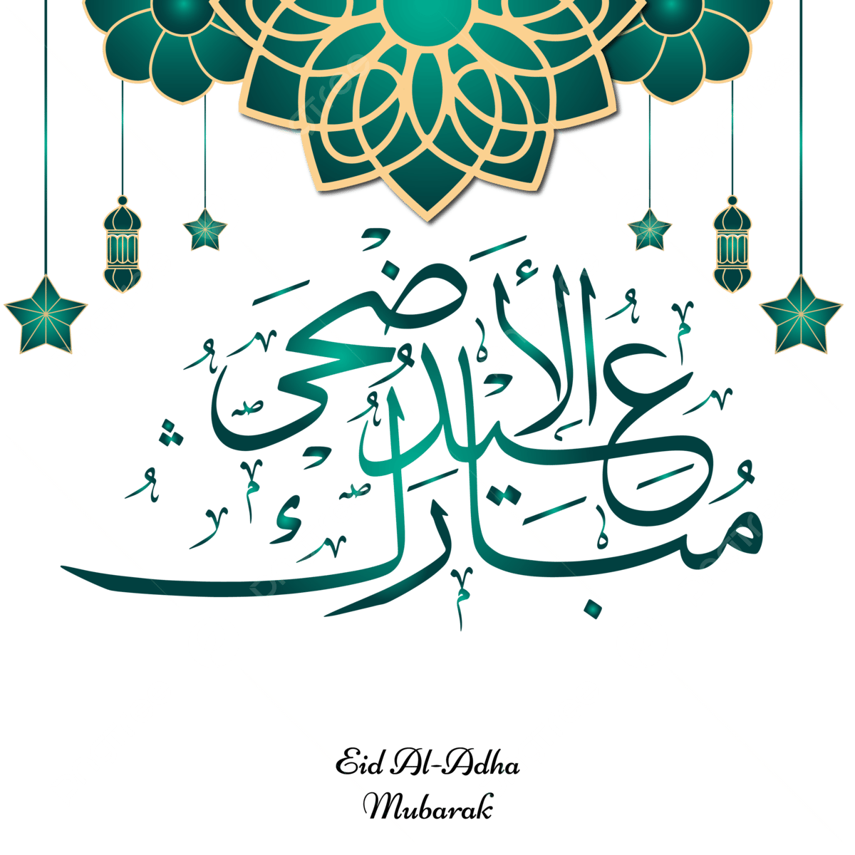 13 رقم مجموعة الصور