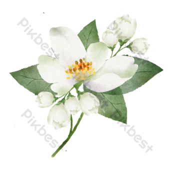 3 رقم مجموعة الصور