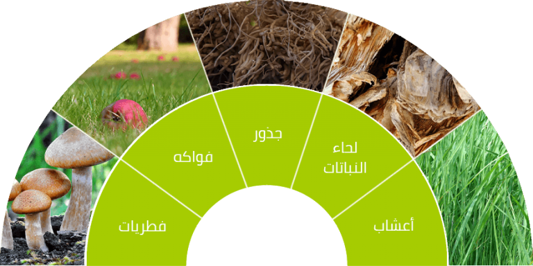 7 رقم مجموعة الصور