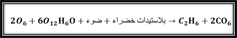 5 رقم مجموعة الصور