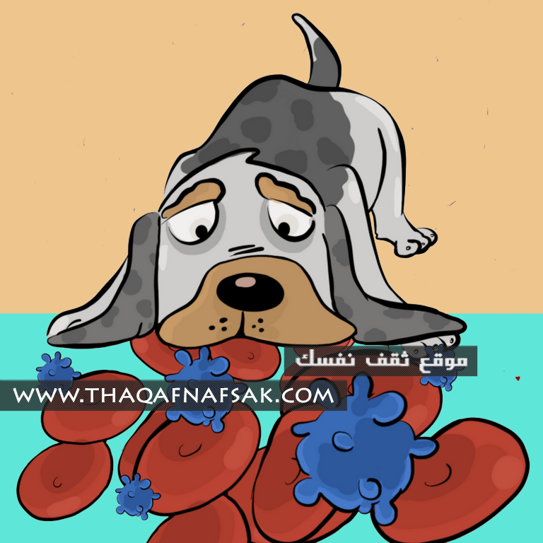السرطان حيوان - KibrisPDR
