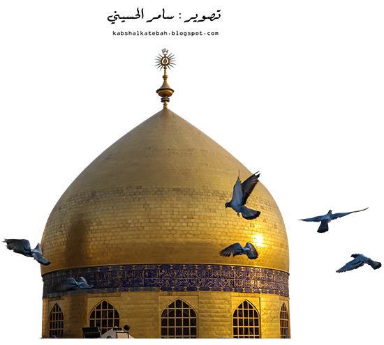 10 رقم مجموعة الصور