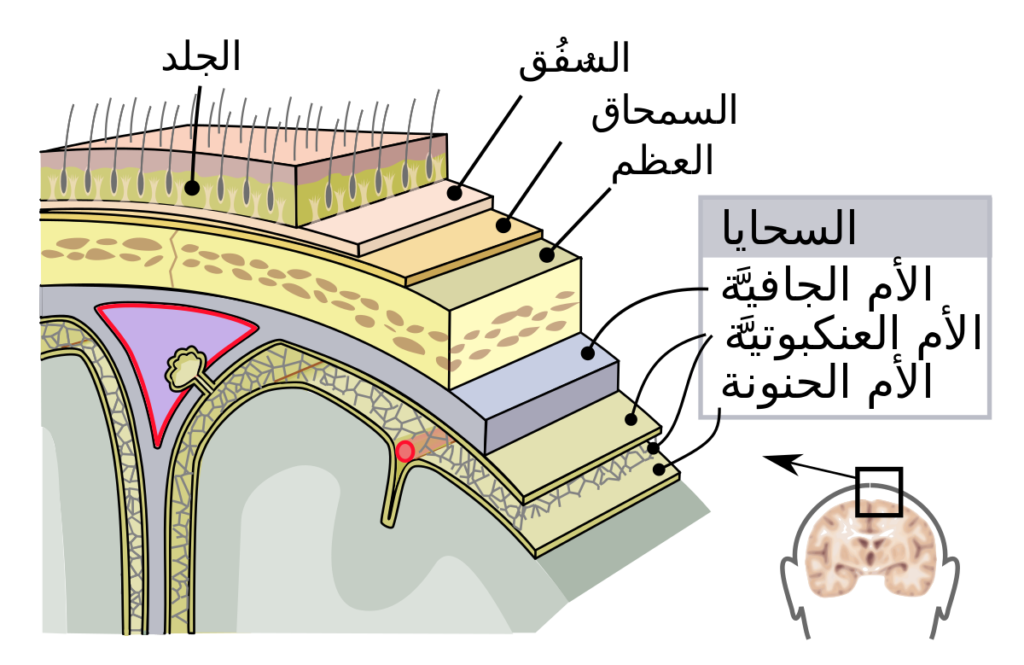 16 رقم مجموعة الصور