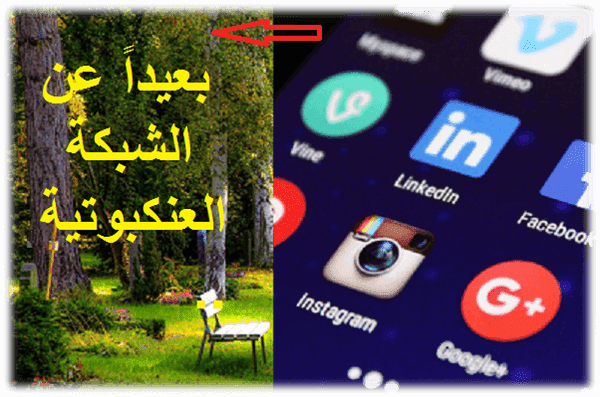 7 رقم مجموعة الصور