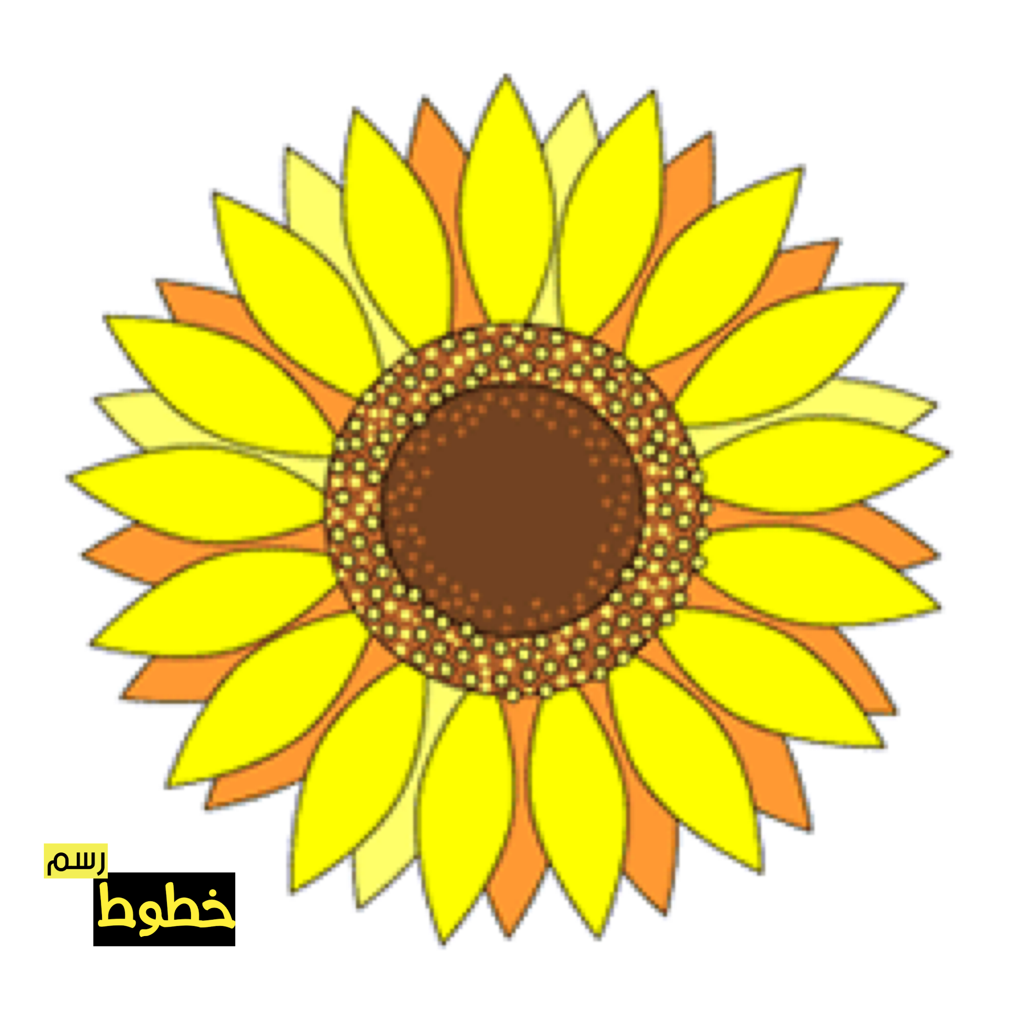 10 رقم مجموعة الصور