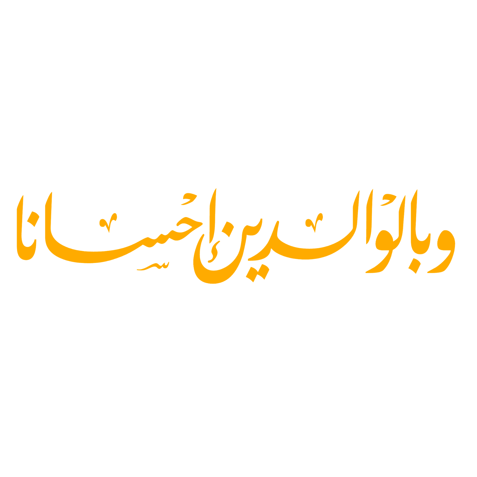 14 رقم مجموعة الصور