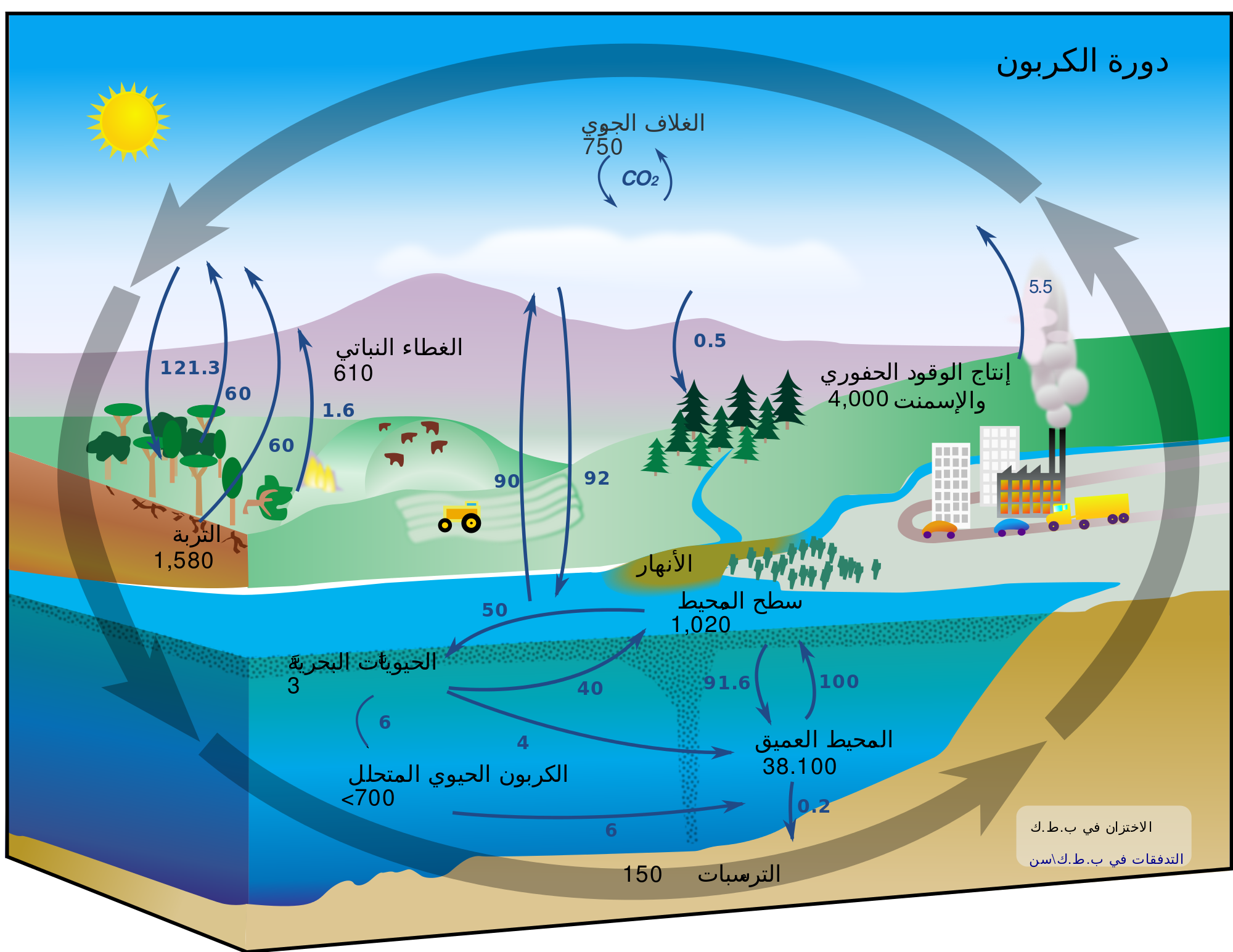 14 رقم مجموعة الصور