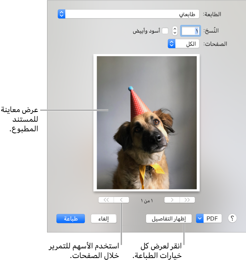 2 رقم مجموعة الصور