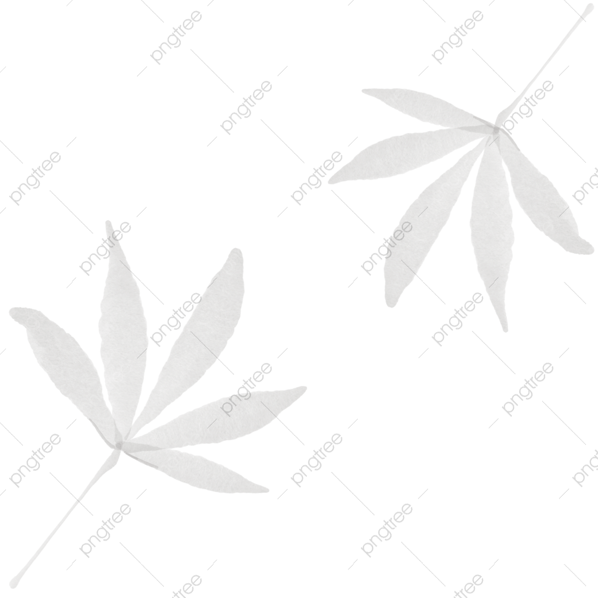 2 رقم مجموعة الصور