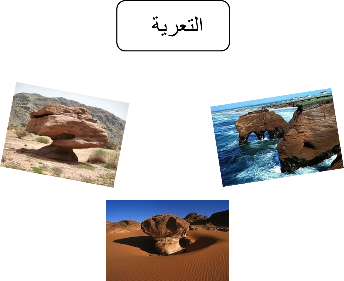 الفرق بين الحبار والأخطبوط - KibrisPDR