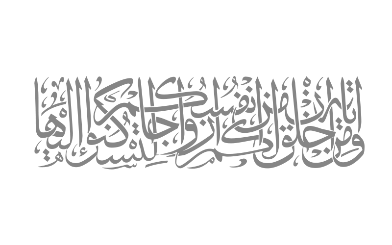 11 رقم مجموعة الصور