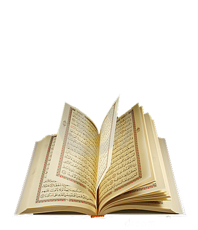 9 رقم مجموعة الصور
