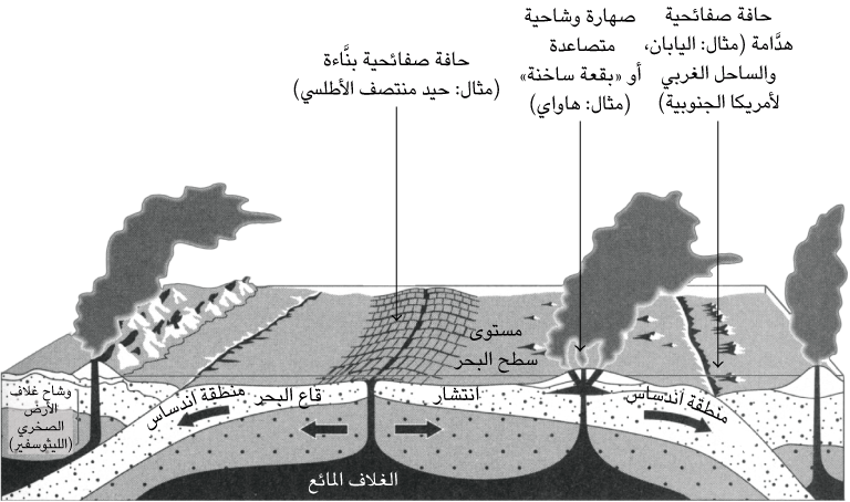 12 رقم مجموعة الصور