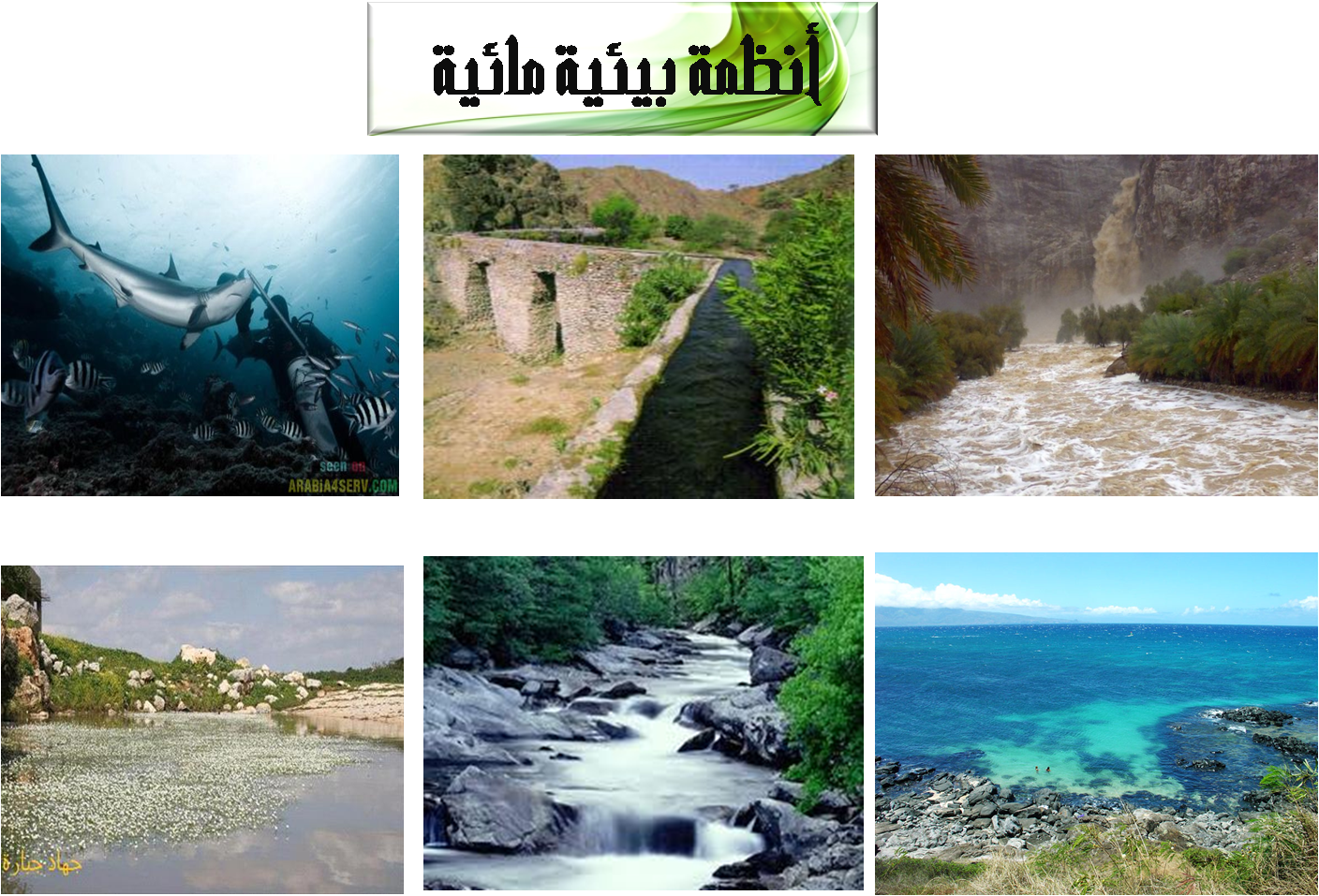 17 رقم مجموعة الصور