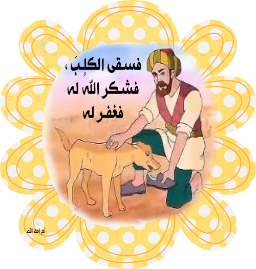 13 رقم مجموعة الصور