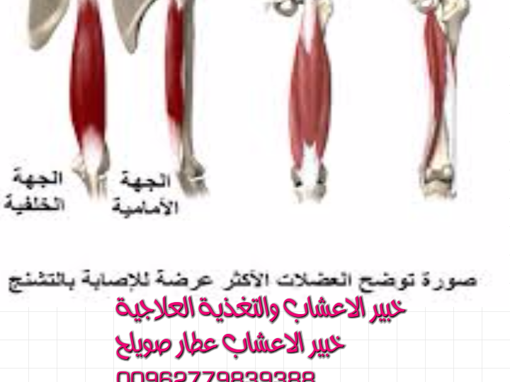 4 رقم مجموعة الصور