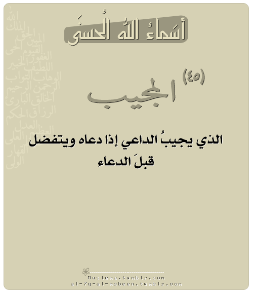 3 رقم مجموعة الصور