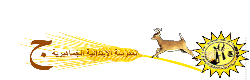 11 رقم مجموعة الصور