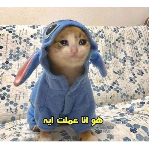 2 رقم مجموعة الصور