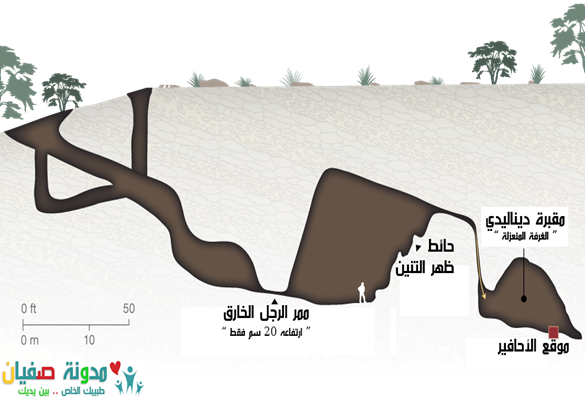 9 رقم مجموعة الصور