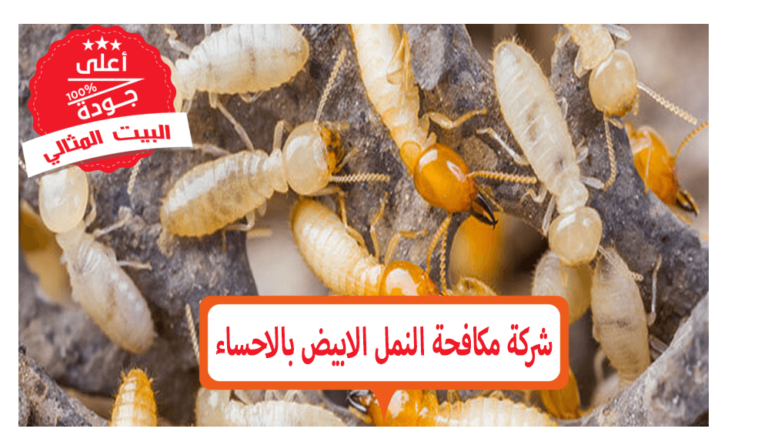 13 رقم مجموعة الصور