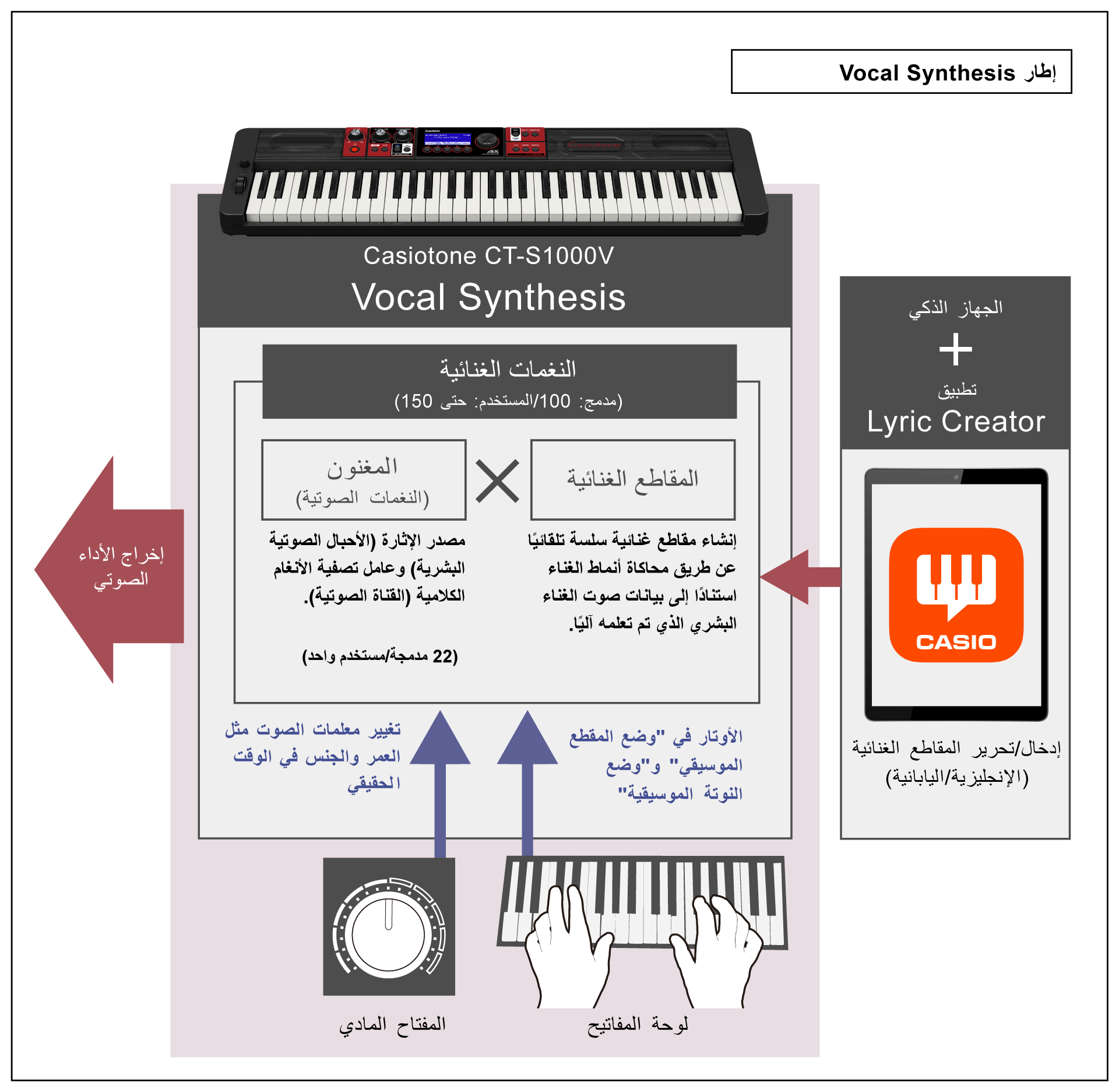 11 رقم مجموعة الصور