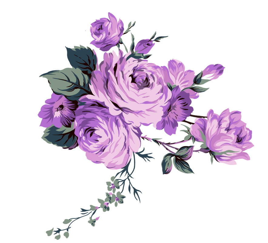 15 رقم مجموعة الصور