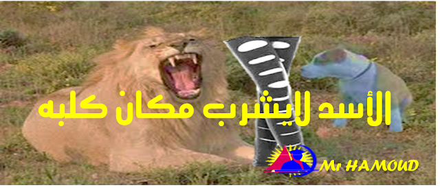 13 رقم مجموعة الصور