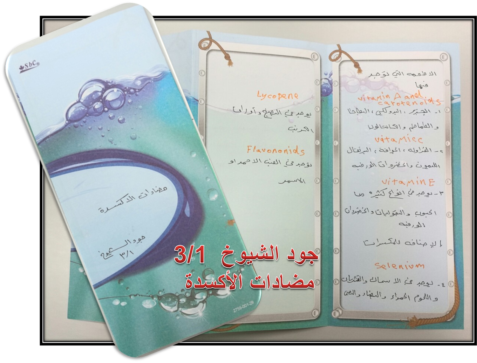 اليوم العالمي لمحو الاميه - KibrisPDR