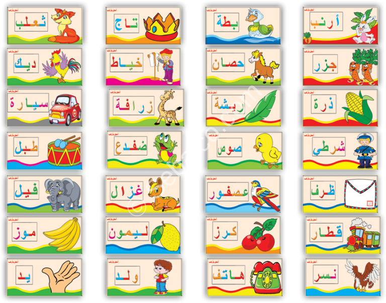 11 رقم مجموعة الصور