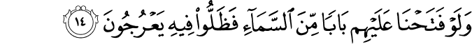 7 رقم مجموعة الصور