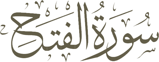 5 رقم مجموعة الصور