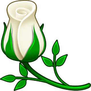 8 رقم مجموعة الصور