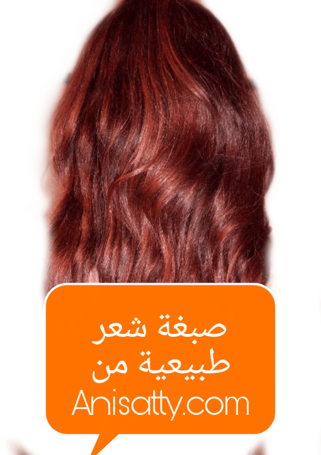 11 رقم مجموعة الصور