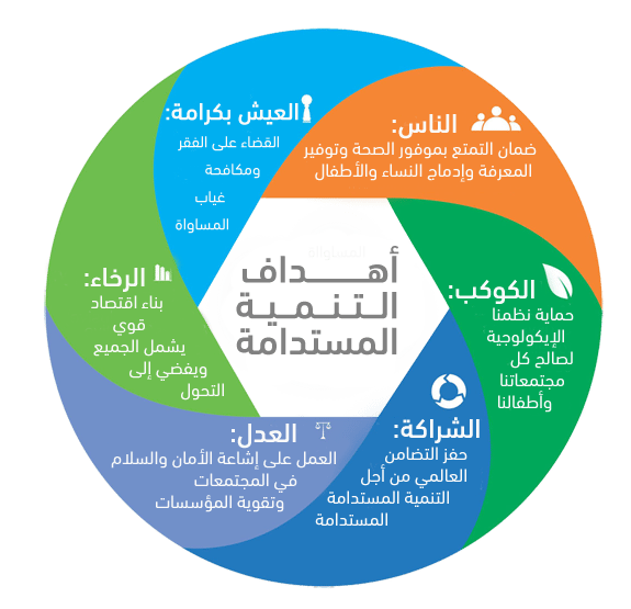 7 رقم مجموعة الصور