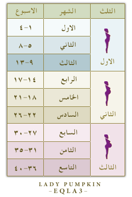 13 رقم مجموعة الصور